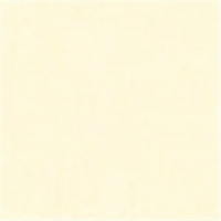 やよいカラー　８ツ切１００枚　きぬいろ