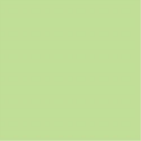 色画用紙　４ツ切１００枚　ＮＣ２４３　若草