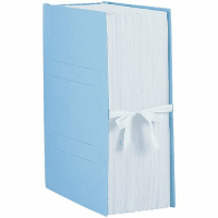 のびーるファイルエスヤードファスナー式紐付　Ａ４縦２穴ブルー