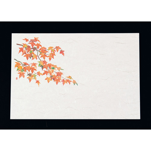 尺３四季懐石まっと（５０枚入）　紅葉