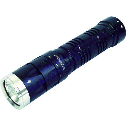 ＢＲＩＧＨＴ－ＴＥＣＨ　ＥＸ１００ＦＬ