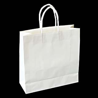 ショッピングバッグ SBW(小)