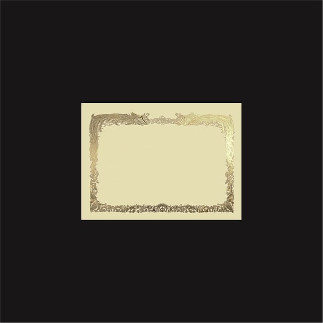 賞状用紙 B5ワイド 金箔 横長 FY