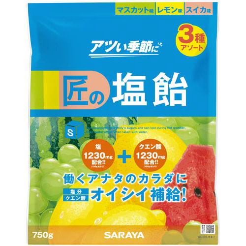 Ｇａｉｎｓ匠の塩飴　アソート　７５０ｇ入×１０※
