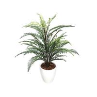 人工観葉植物タマシダＭサイズ