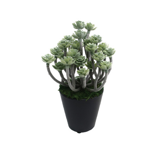 人工観葉植物グリーンセダムミニサイズ