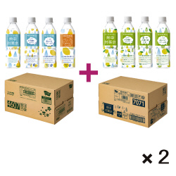 熱中対策水メッセージ付きレモン・日向夏４ＣＳ