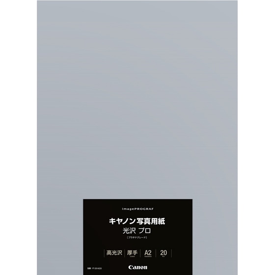 写真用紙・光沢 プロ[プラチナグレード] PT-201 A2 20枚