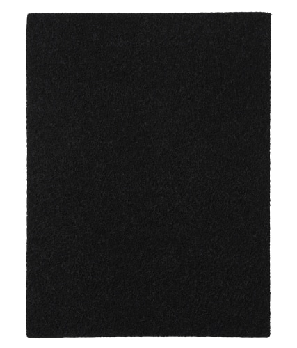 カーボンフィルター DX55/DB55専用