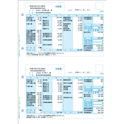 給与明細書ページプリンタ・インクジェットプリンタ兼用用紙(単票用紙)