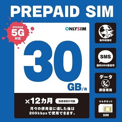 楽天プリペイドSIM 毎月30GB 初月＋12ヶ月 SMS受信可