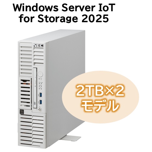 iStorage NS100Tm (Pentium Gold G7400/16GB/HDD・4TB/Windows Server IoT 2025 for Storage Workgroup Edition/タワー/3年保証)
