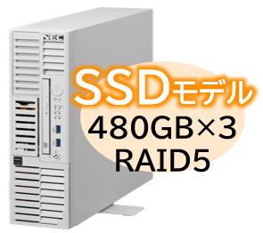 Express5800/D/T110m-S(RAID5対応コントローラ搭載) Xeon 6315P 4C/16GB/SSD 480GB*3 RAID5/W2022/タワー 3年保証