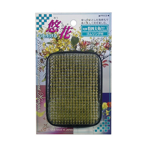 剣山　特四大角
