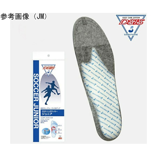 ＤＳＩＳソルボサッカー　ジュニア　ＪＬ