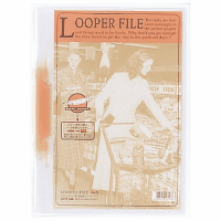 ルーパーファイル　Ａ４縦２穴　１００枚収容　赤　１冊