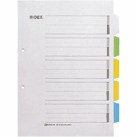 カラ－インデックスＡ４縦２穴　９０７Ｇ　５色５山×１０組