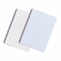 クリヤーポケット　Ｎ－２００７　Ｂ４Ｓ　１０枚　グレー