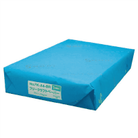 フリークラフトペーパー薄口　Ａ４　１００枚×５冊