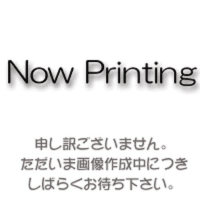リクエストＤ型リングファイルＡ４縦２穴３５０枚収容　赤１０冊