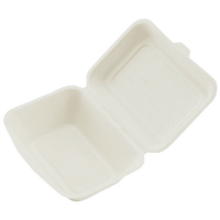 パルプモールドパック大　５０枚