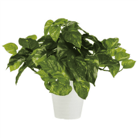 人工樹木／ポトスブッシュ／９０２４０