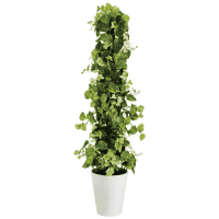 人工樹木／ＭＩＸヘゴ／グリ－ンライム／９０２４１