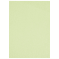 カラーペーパーＡ４　うぐいす　５００枚　Ａ２６２Ｊ－３