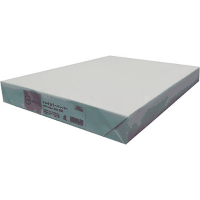 カラーペーパーＡ３　さくら　５００枚　Ａ２６６Ｊ－６