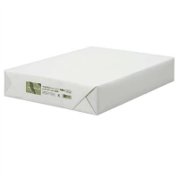 カラーペーパー特厚口Ａ３　うぐいす　５００枚　Ａ２８４Ｊ－３