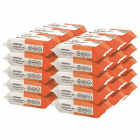 トイレクリーナー　２５枚入×３０個　Ｎ２４４Ｊ－３０