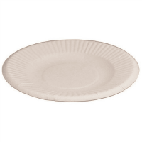 ペーパープレート９ｃｍ　１００枚