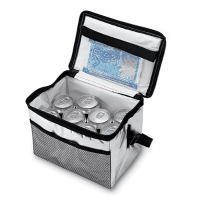 ソフトクーラーバッグアルミ　６Ｌ