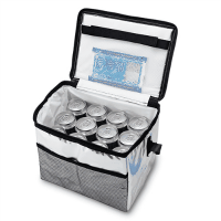 ソフトクーラーバッグアルミ　１２Ｌ