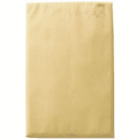 パースルバッグ　タ１０６－１０　Ａ３判　１０枚