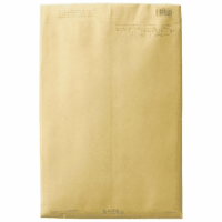 パースルバッグ　タ１０５－１０　Ｂ４判　１０枚