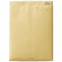 パースルバッグ　タ１２１－１０　Ｂ５判厚口　１０枚