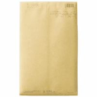 パースルバッグ　タ１１１－１０　Ｂ５判　１０枚