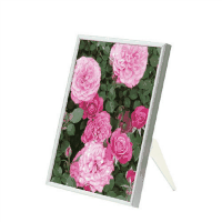 スリムエイト　Ｓ８－Ｂ１－ＳＶ　Ｂ１　シルバー