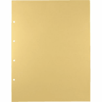 デラックス透明ポケット　１０５Ｄ　Ａ３Ｓ　４穴　１０枚