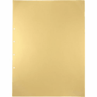 デラックス透明ポケット　１０７Ｄ　Ａ２Ｓ　４穴　１０枚