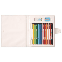 パステック限定販売　（１２＋１本）×５セット　ＧＣ１－１３Ｄ