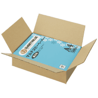 ワンタッチ式ダンボール　６０ｃｍ　２０枚　Ｂ４６２Ｊ－Ｓ