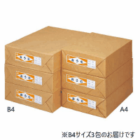更紙　おうむＳ　Ｂ４　１０００枚×３包