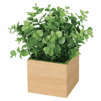 卓上ポット　ミニ１００角　ＧＲ４３８０ナチュラル（ユーカリ）