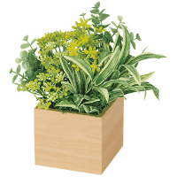 卓上ポット　ミニ１００角　ＧＲ４３８１ナチュラル