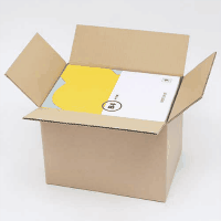 宅配用段ボール箱　１００サイズ　３０枚　ＴＰ－００３