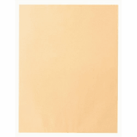 ビッグ１封筒　７４１　クラフト　１００枚