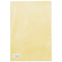 大型クラフト封筒　Ａ３マチなし　１０枚パック