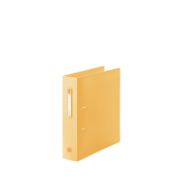 ｎｏｉｅ－ｓｔｙｌｅ　Ａ－Ｚファイル　Ｆ－７６８７　ＯＲ